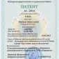 Насіння озимої твердої пшениці Єлісей - фото № 4
