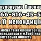 Закупаем пшеницу! Надежное партнерство - фото № 1