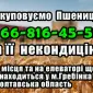 Закупка пшеницы 2, 3, 4 класса в Полтаве - фото № 1