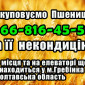 Закупівля пшениці 2,3,4 класів у Полтаві - фото № 1
