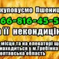 Элеватор закупает пшеницу 2, 3, 4 класса - фото № 1