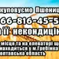 Закупка пшеницы 2, 3, 4 класса - фото № 1