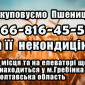 Закуповуємо пшеницю 2-4 класу та некондицію - фото № 1