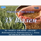 Продаж насіння озимої пшениці ЗУ Віллем - фото № 1