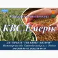 Насіння озимої пшениці КВС Емерік - високоврожайний сорт - фото № 1