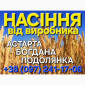 Продажа насіння озимої пшениці Астарта, Богдана, Подолянка - фото № 1