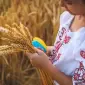 Закупаем фуражную пшеницу в Луцке - фото № 1