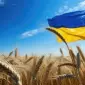 Закупка фуражной пшеницы 2 и 3 класса - фото № 1
