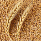 Купуємо побічні продукти зернових - фото № 1