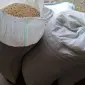 Продам горох на корм - фото № 1