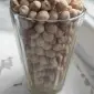 Горох нут, холодок - фото № 1