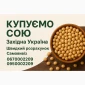 Куплю сою для переработки в г. Луцк, Волынская область - фото № 1
