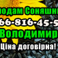 Продаю соняшник у будь яких обсягах! Виробник/переробник - фото № 1