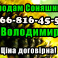 Підприємство реалізує високоякісне насіння соняшнику - фото № 1