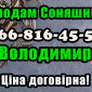 Підприємство реалізує соняшникове насіння! Ціна договірна (від обсягу) - фото № 1