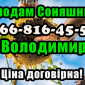 Реалізуєм насіння соняшника!ціна формується від обсягу замовлення - фото № 1