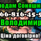 Шукаю збут для соняшнику! Ціна договірна!Значні обсяги реалізації - фото № 1