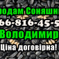 Підприємство реалізує соняшник - фото № 1