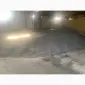 Продам подсолнечник 2025 года урожая в базе (наличные) - фото № 2