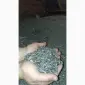 Продам подсолнечник - фото № 2