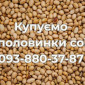 Закупаем половинки сои (оплата Ф1, Ф2) - фото № 1