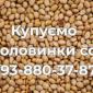 Купівля половинок сої на постійній основі - фото № 1