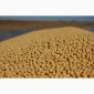 Продается соя ГМО, объем 100 тонн - фото № 1