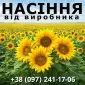 Насіння соняшника від виробника - фото № 1