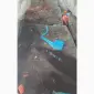 Продам свиную кровь - фото № 1