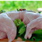 Свежее мясо домашнего кролика на продажу - фото № 1