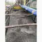 Продам калиброванный подсолнух - фото № 1