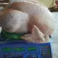Продам мясо домашней индейки - фото № 1