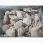 Продам от фирмы импортёра мясной продукций от 20 тонн - фото № 3