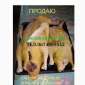 Продаются тушки индокачек оптом и в розницу - фото № 1