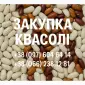 Купуємо квасолю різних сортів - фото № 1