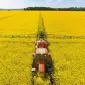 Закуповуємо Ріпак не ГМО по всій Україні - фото № 1