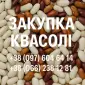 Купуємо квасолю. Заберемо своїм транспортом - фото № 1