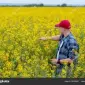 Закупаємо Ріпак без ГМО по всій Україні - фото № 1