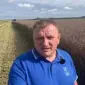Агрокомпанія закупить Ріпак без ГМО та ГМО по Україні 1Ф - фото № 1
