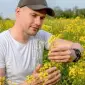 Закупаю Ріпак по 1Ф доставкою по всій Україні - фото № 1
