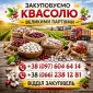 Куплю квасолю великий - фото № 1