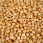 Закупівля жовтого гороху будь-якого об'єму - фото № 1