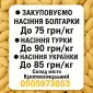 Закупівля гарбузового насіння - фото № 1