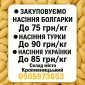 Закупка семян тыквы - фото № 1