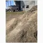 Купляємо по всій Україні самовивозом мертві відходи соняшника - фото № 1