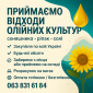 Закуповуємо відходи олійних культур різні - фото № 1