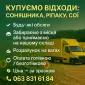 Купуємо відходи: соняшника - фото № 1