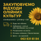 Закупівля відходів олійних культур - фото № 1