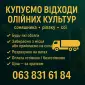 Купуємо відходи олійних - фото № 1