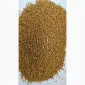 Продам гірчицю білу (можно на сидерат)- 50т. - фото № 1